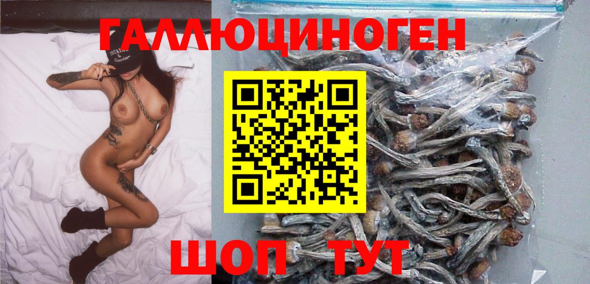 Галлюциногенные грибы Cubensis Тара
