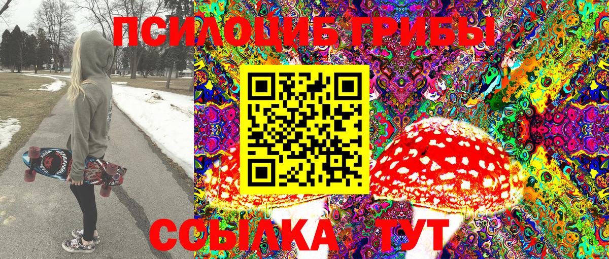 хочу   Псилоцибиновые грибы Cubensis  Вход с VPN  Тара 