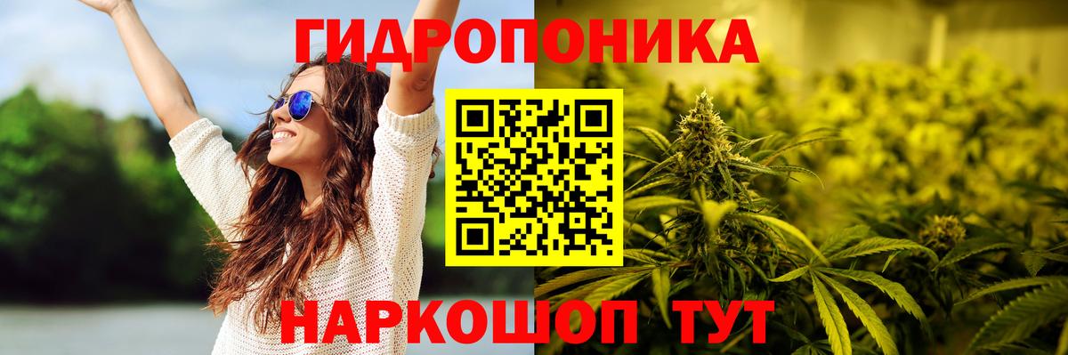 Бошки Шишки Bruce Banner Тара